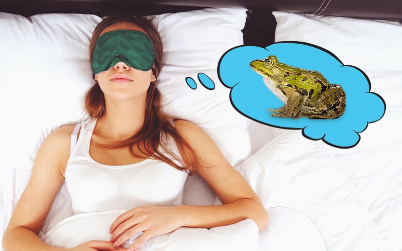 dream about frog when a woman is sleeping in bed