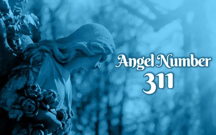 Angel Number 311
